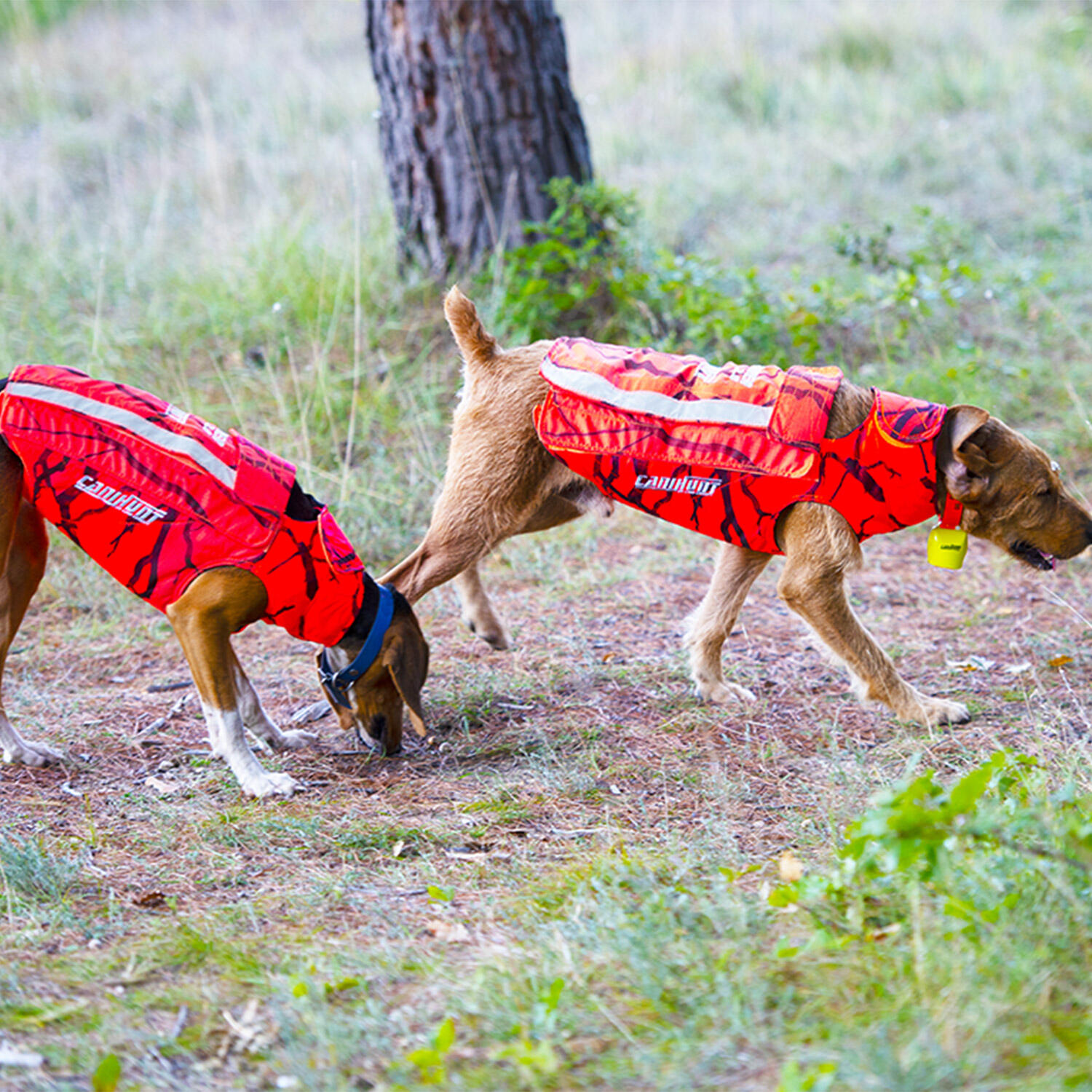 Gilet di protezione per cani da caccia DEFENDER 2.0 CANIHUNT 6/6