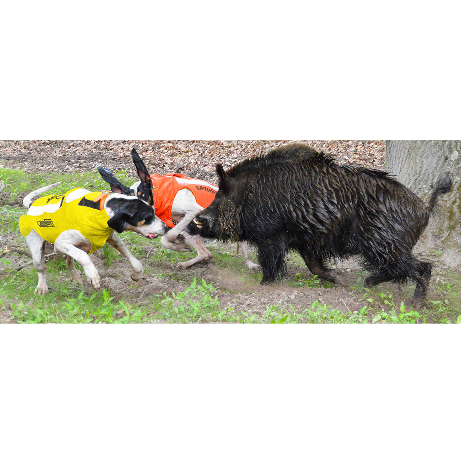Gilet de protection pour chien de chasse browning pro new arrivals