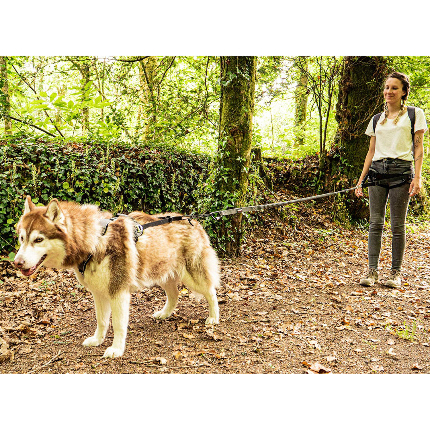 Canicross leash I-DOG Style Upka 7/7