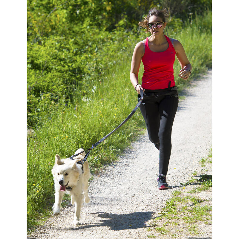 Laisse canicross I-DOG Style Upka