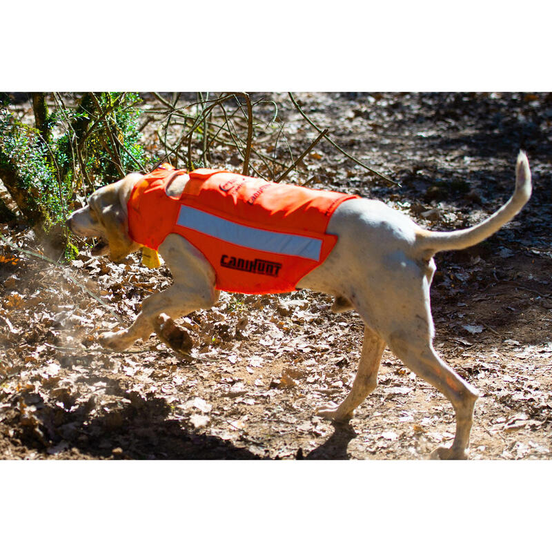 Gilet de protection pour chien de chasse PROTECT PRO L'ORIGINAL CANIHUNT
