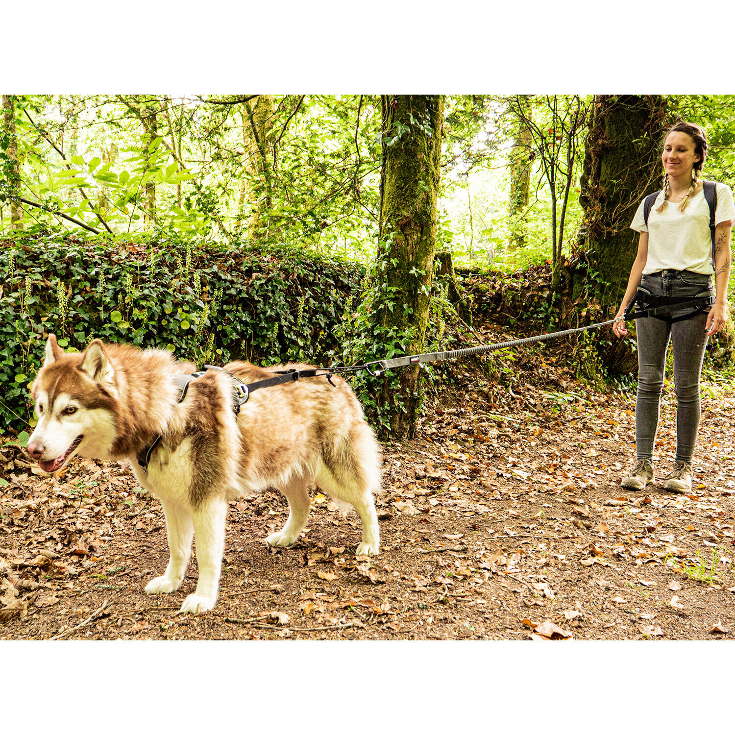 Harness I-DOG Style Upka 7/7