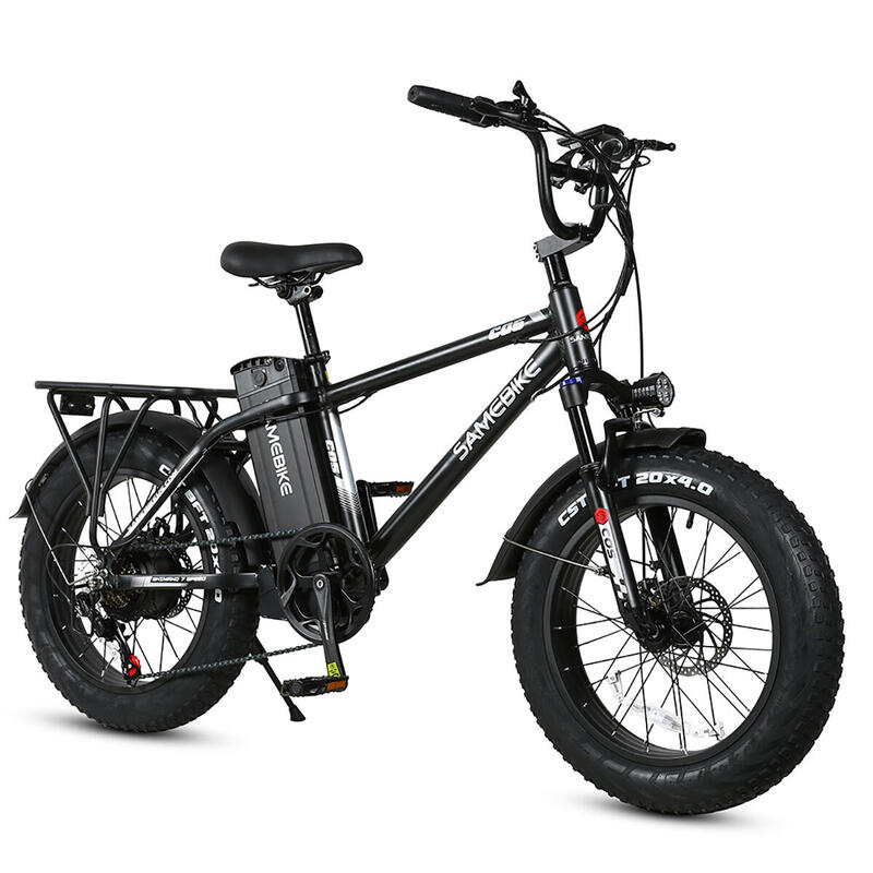 the dj 750w 48v 13ah fat bike