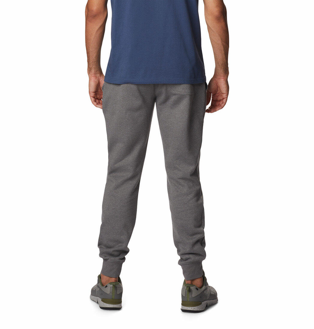 Spodnie Dresowe Męskie Columbia CSC Logo Fleece Jogger II 2/6