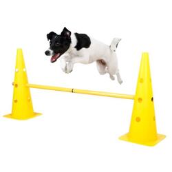 Agility szett bójákkal és rudakkal