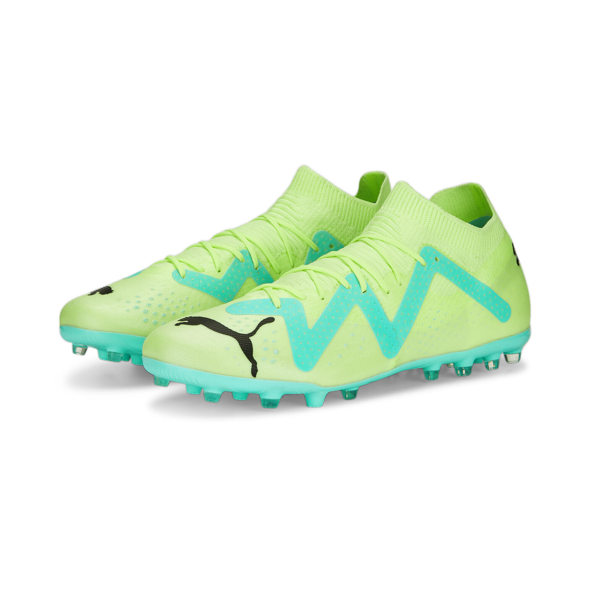 PUMA picture