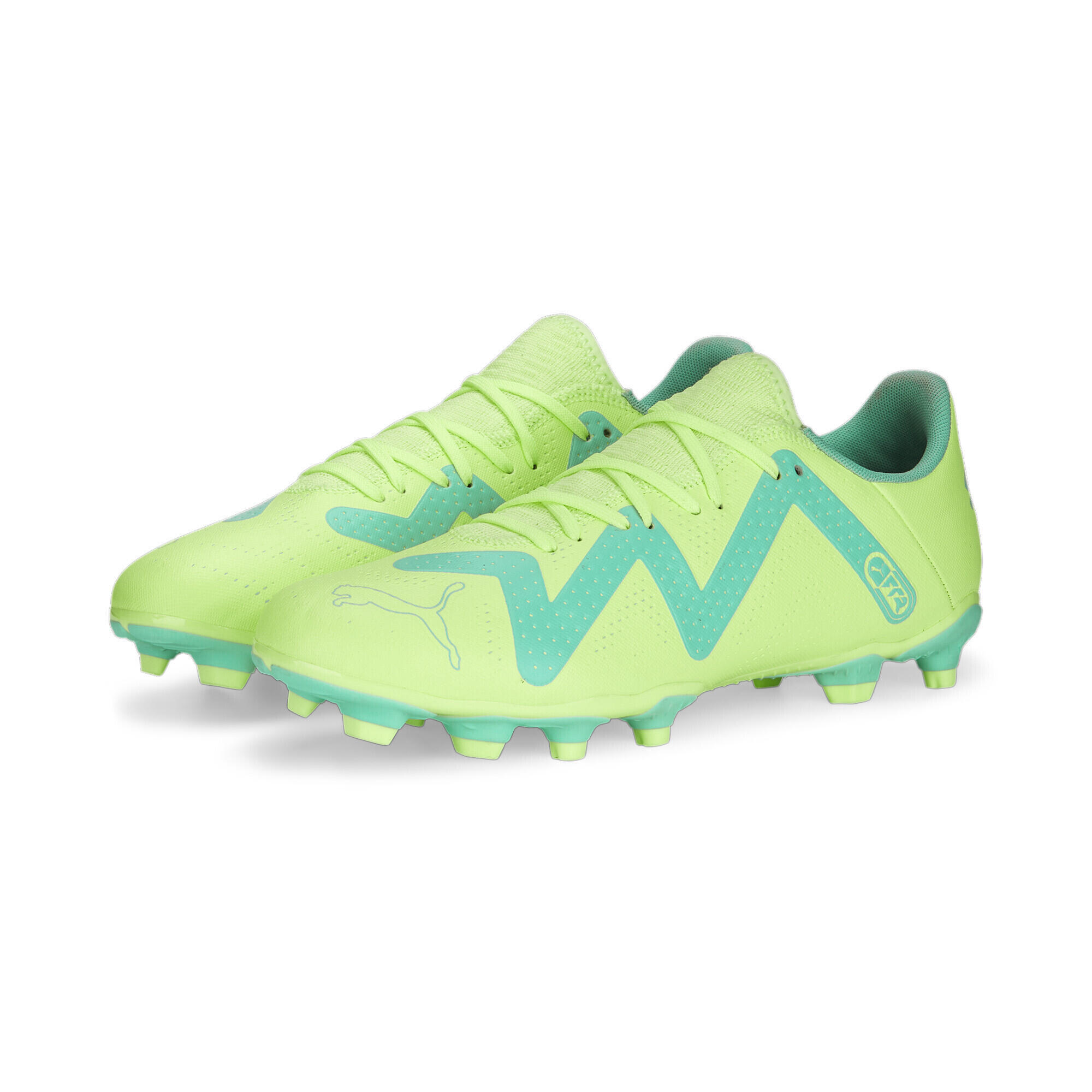 PUMA picture