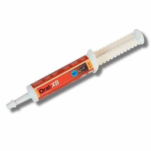 ORAL XB - Booster votre cheval - 30 ml 1/1
