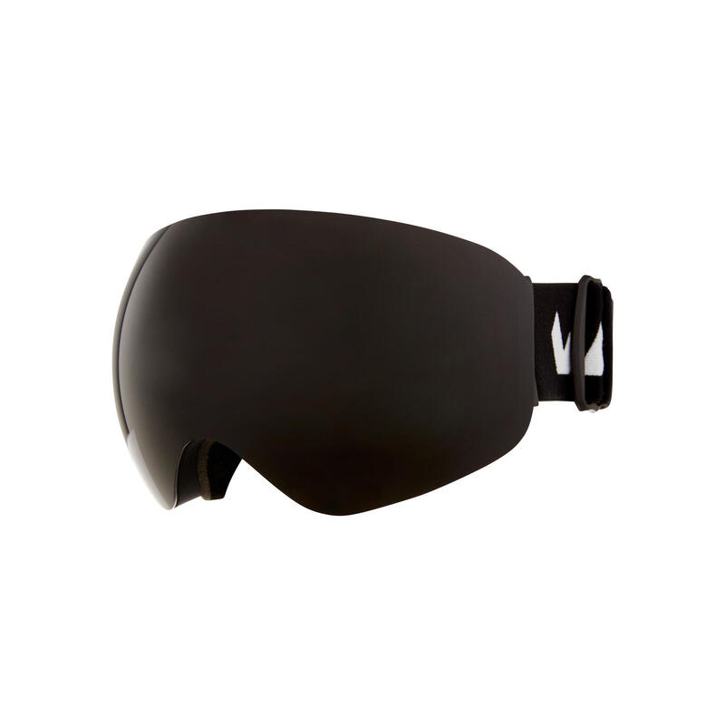 WHISTLER Skibrille WS6100