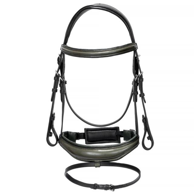 Sella per cavalli EQUESTRIAN QUEEN Ganymede 1/5