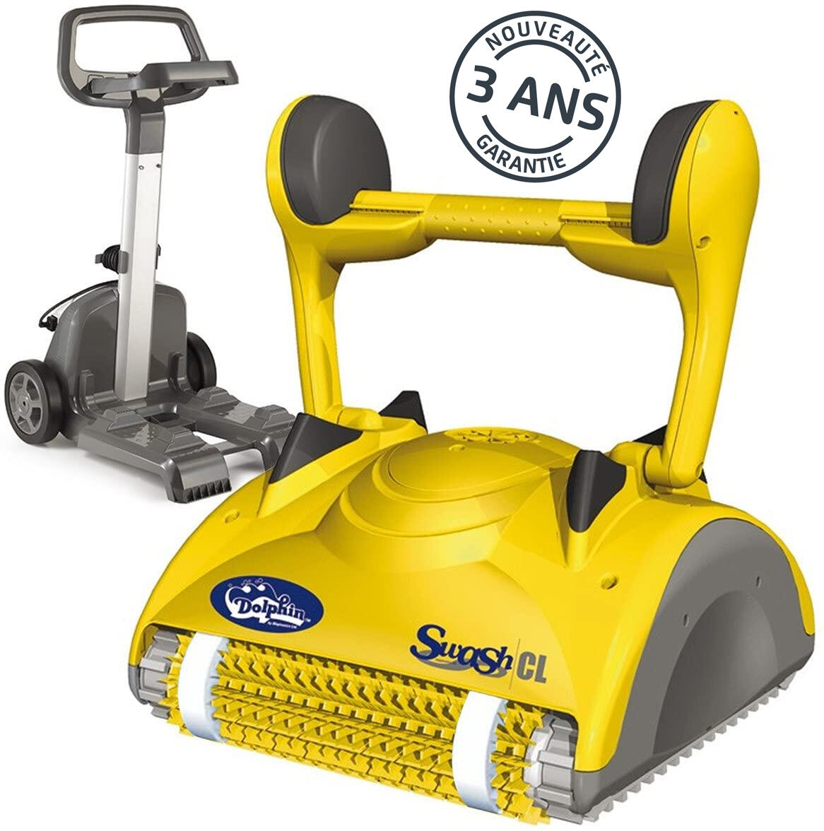 DOLPHIN picture