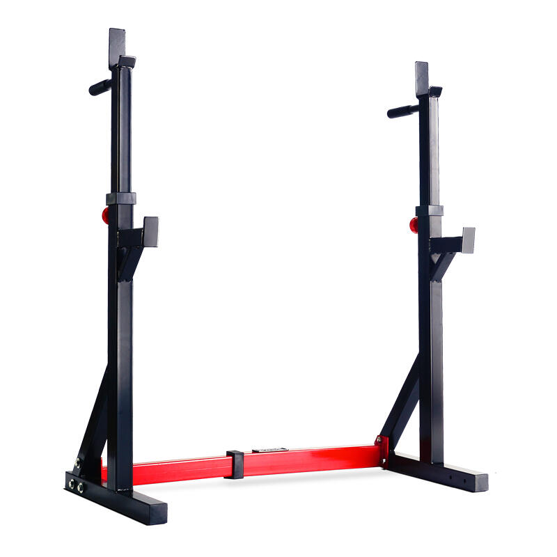 Rack de Sentadillas / Soporte para Fondos 270RS Titanium Strength