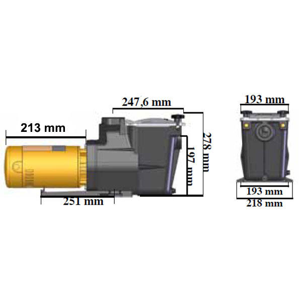 Pompe à filtration 1.5 cv 18 m3/h triphasé 2 3/3