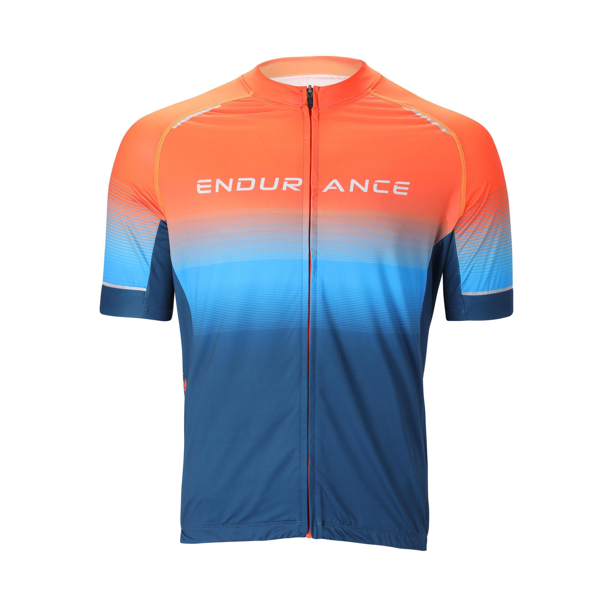 ENDURANCE picture