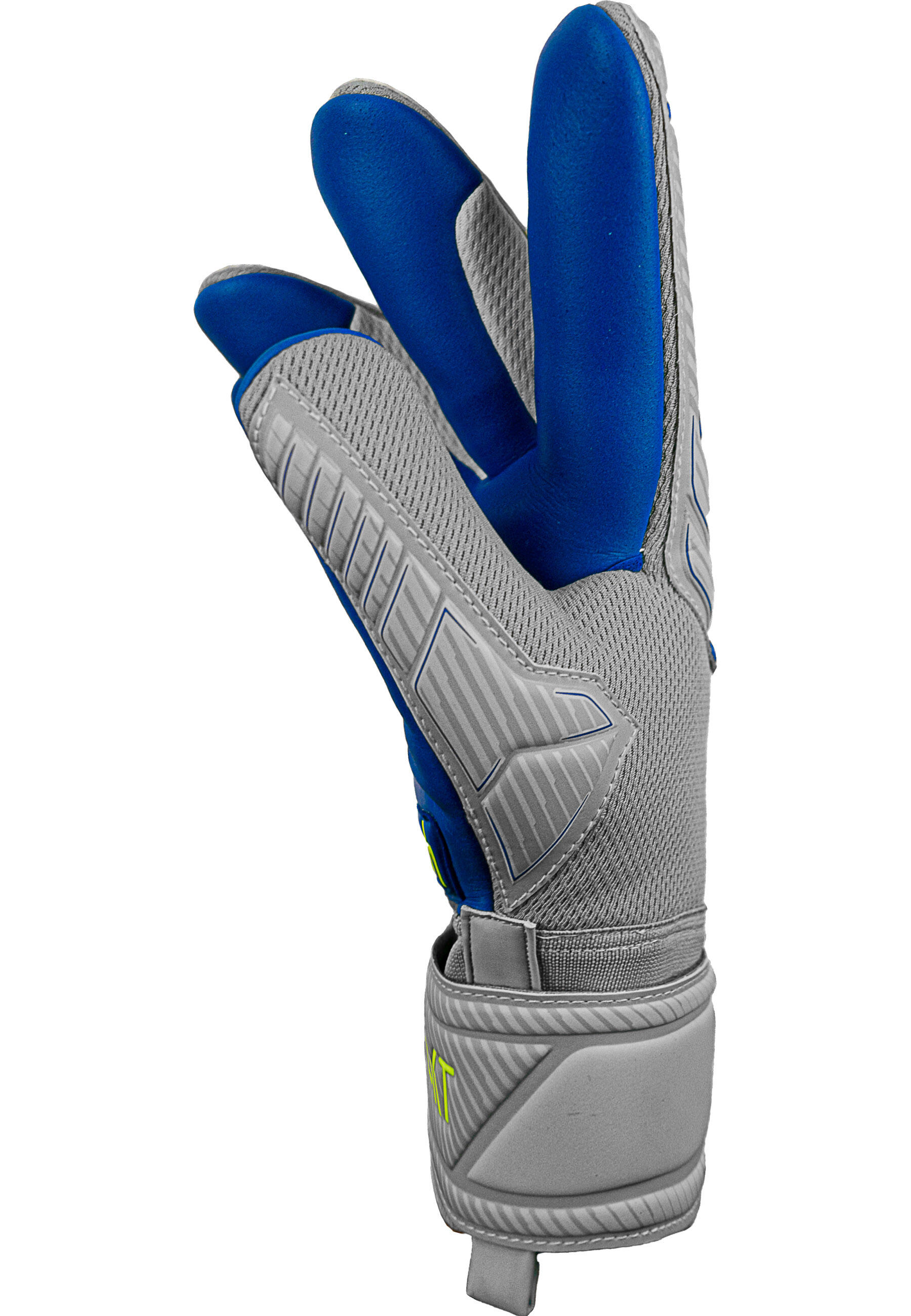 Torwarthandschuhe Attrakt Grip Evolution 3/7