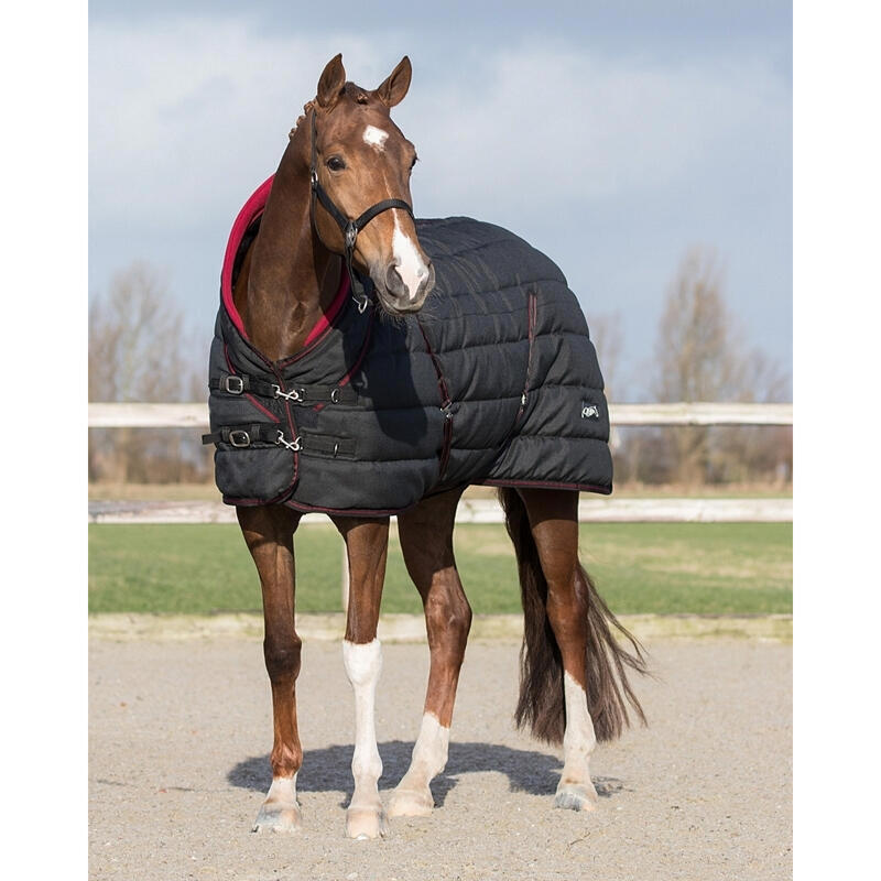 Stalldecke für Pferde QHP Luxury Collection 200g