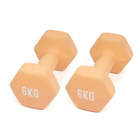 Hantle fitness myga Dumbbell - 6kg