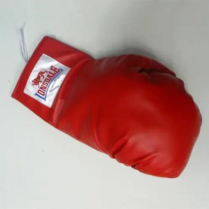 Gants de boxe Benlee Lonsdale