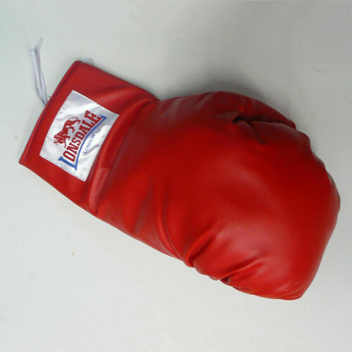 Gants de boxe Benlee Lonsdale