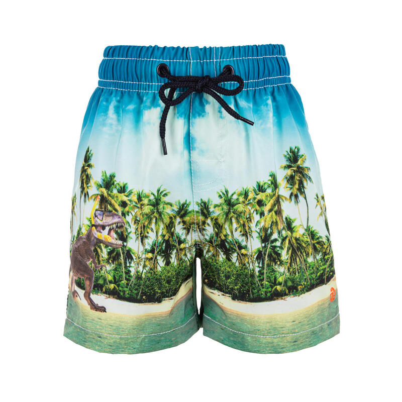 ZIGZAG Boardshorts Dino