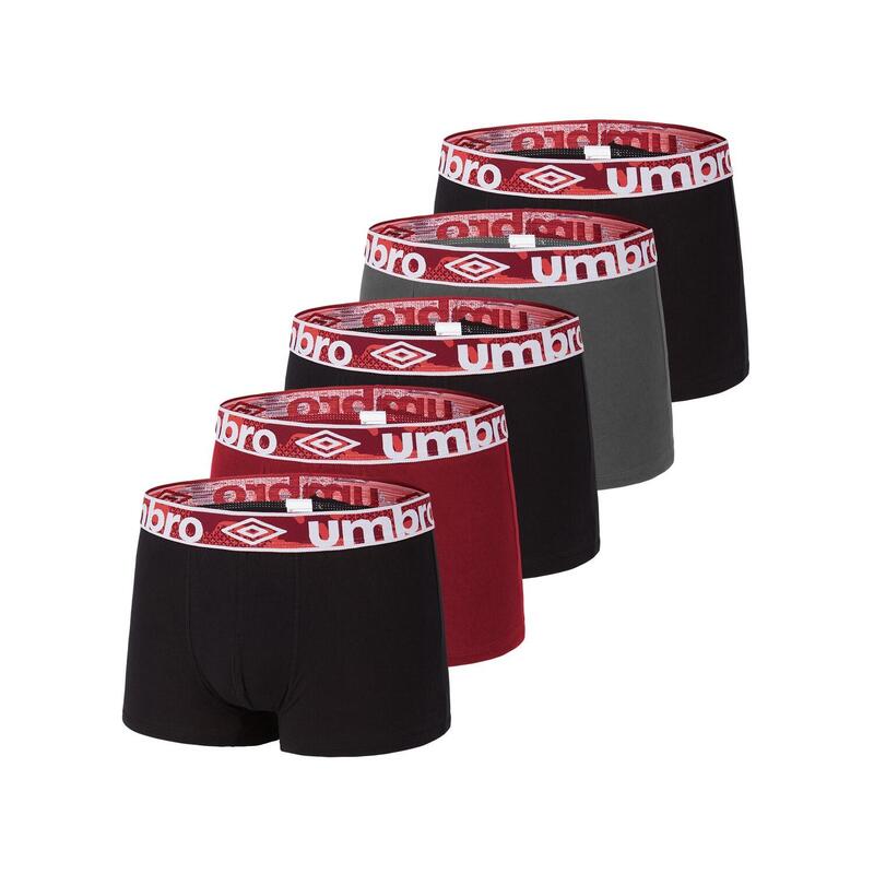 Lot de 5 Boxers coton homme Uni