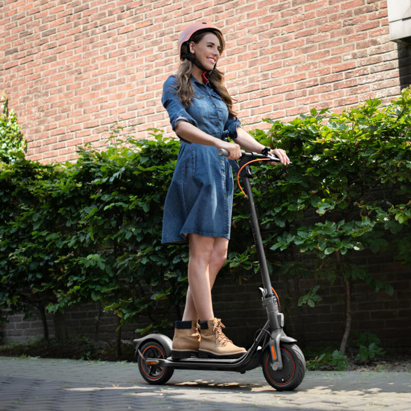 Trotineta Electrica Ninebot F40E, 25 km/h, Autonomie 40 km, Motor 350W, Gri