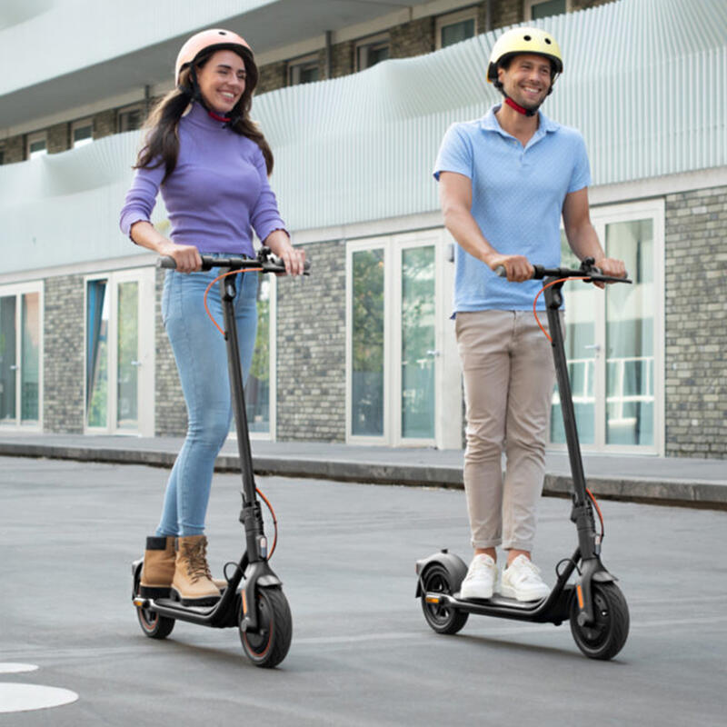 Trotineta Electrica Ninebot F40E, 25 km/h, Autonomie 40 km, Motor 350W, Gri