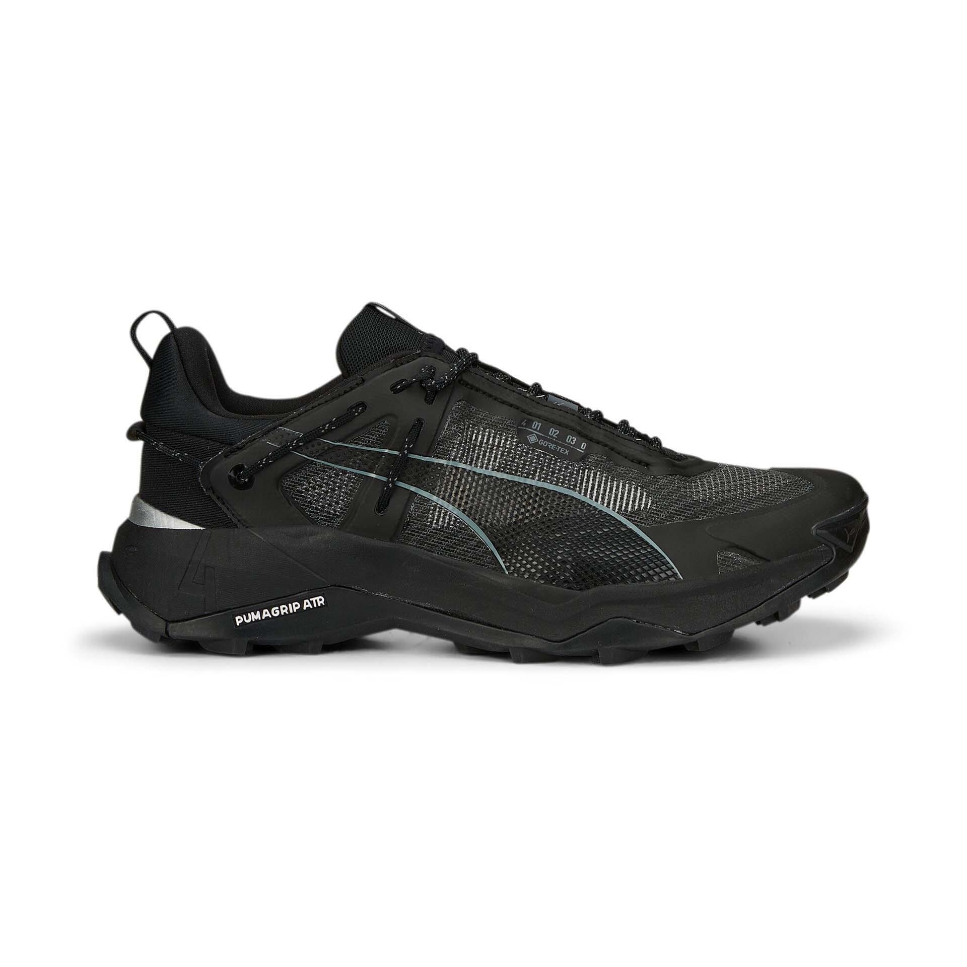 PUMA picture