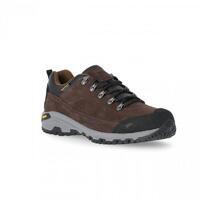 Chaussures de marche FALARK Homme (Marron)