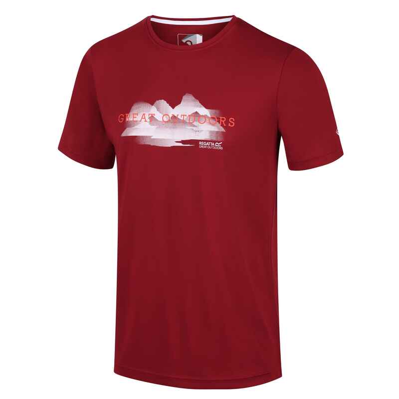 Wandershirt Fingal V Wandern/Outdoor/Trekking Herren Atmungsaktiv REGATTA