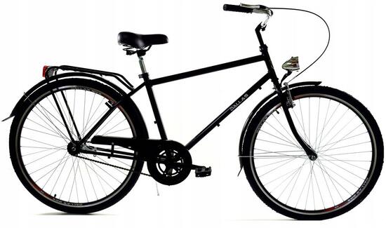 Bicicletta uomo Dallas 28" 1 velocità 165-190 cm Nero