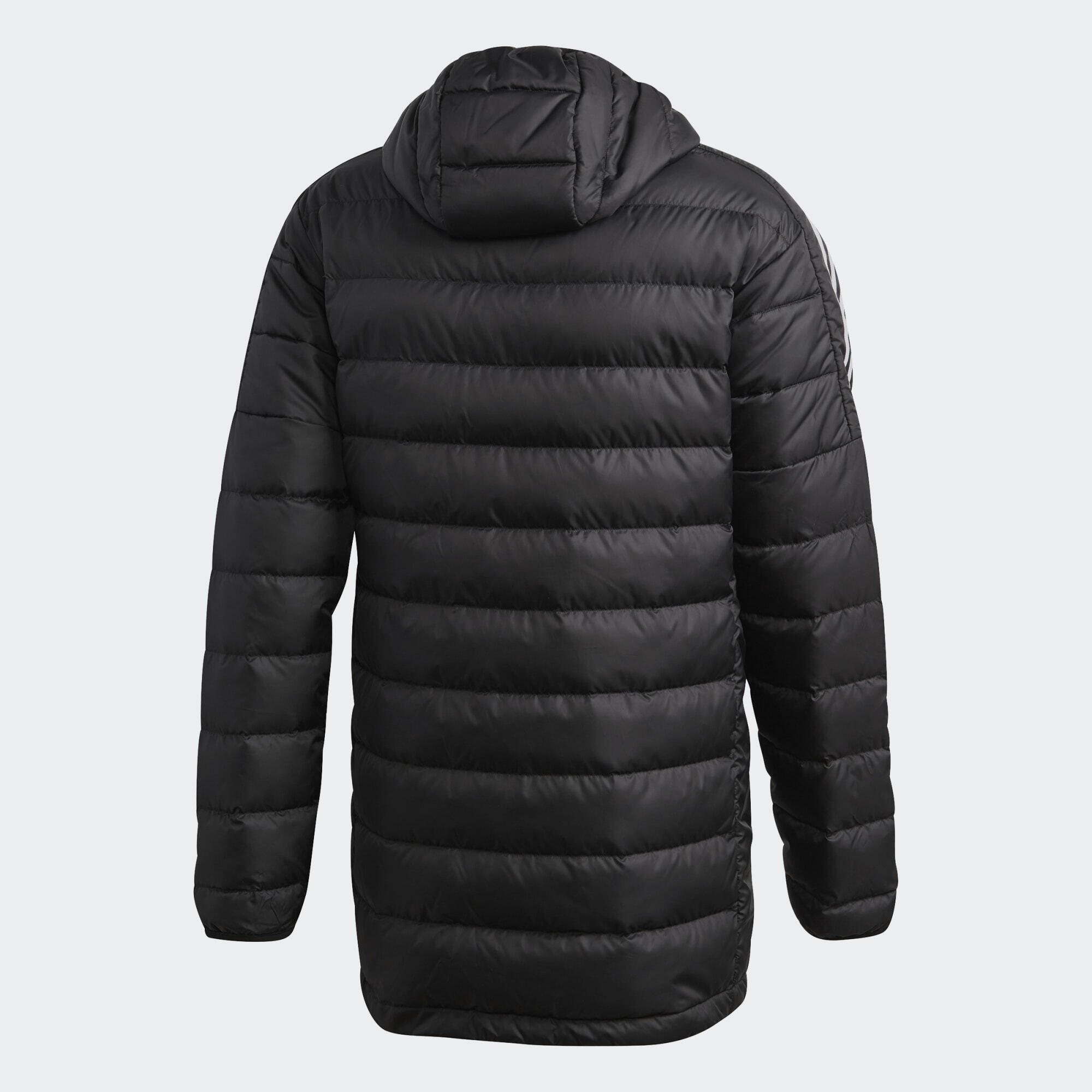 Parka Essentials Down 2/2