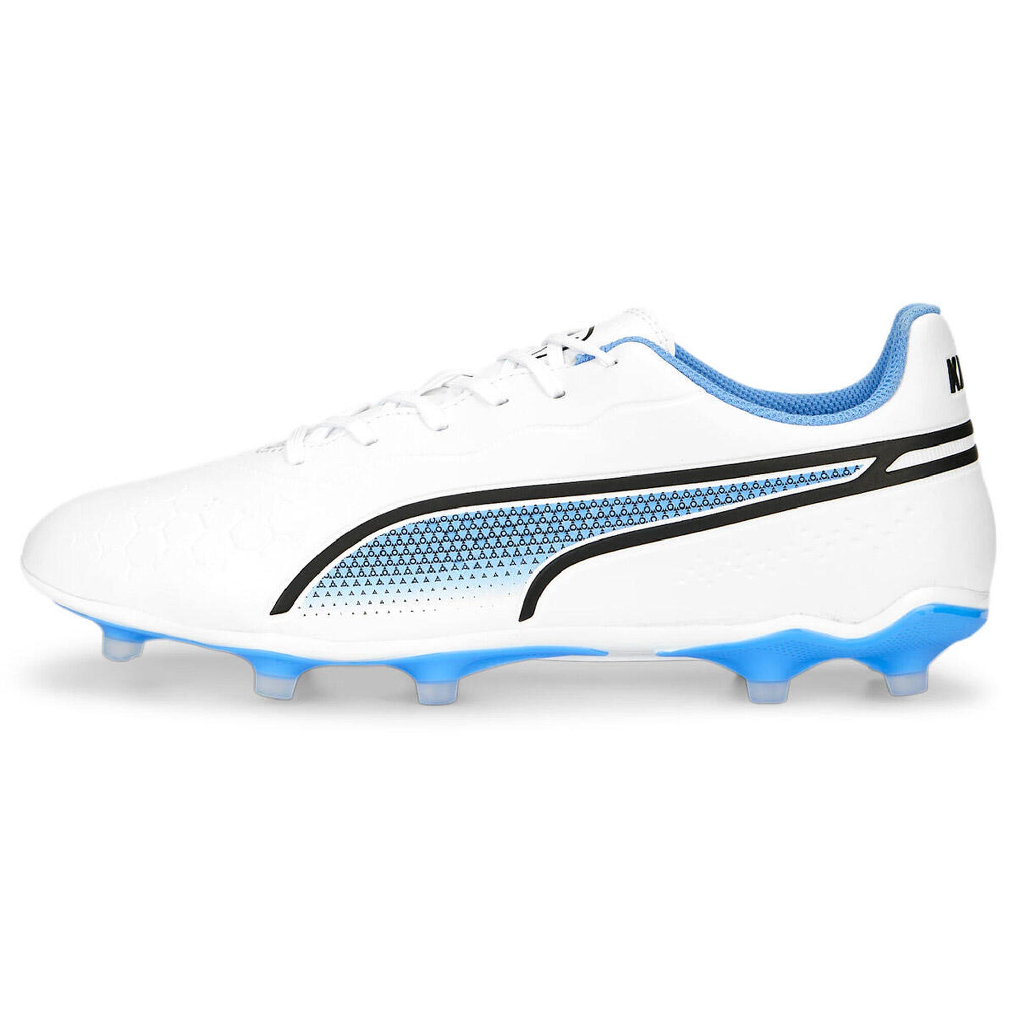 PUMA picture
