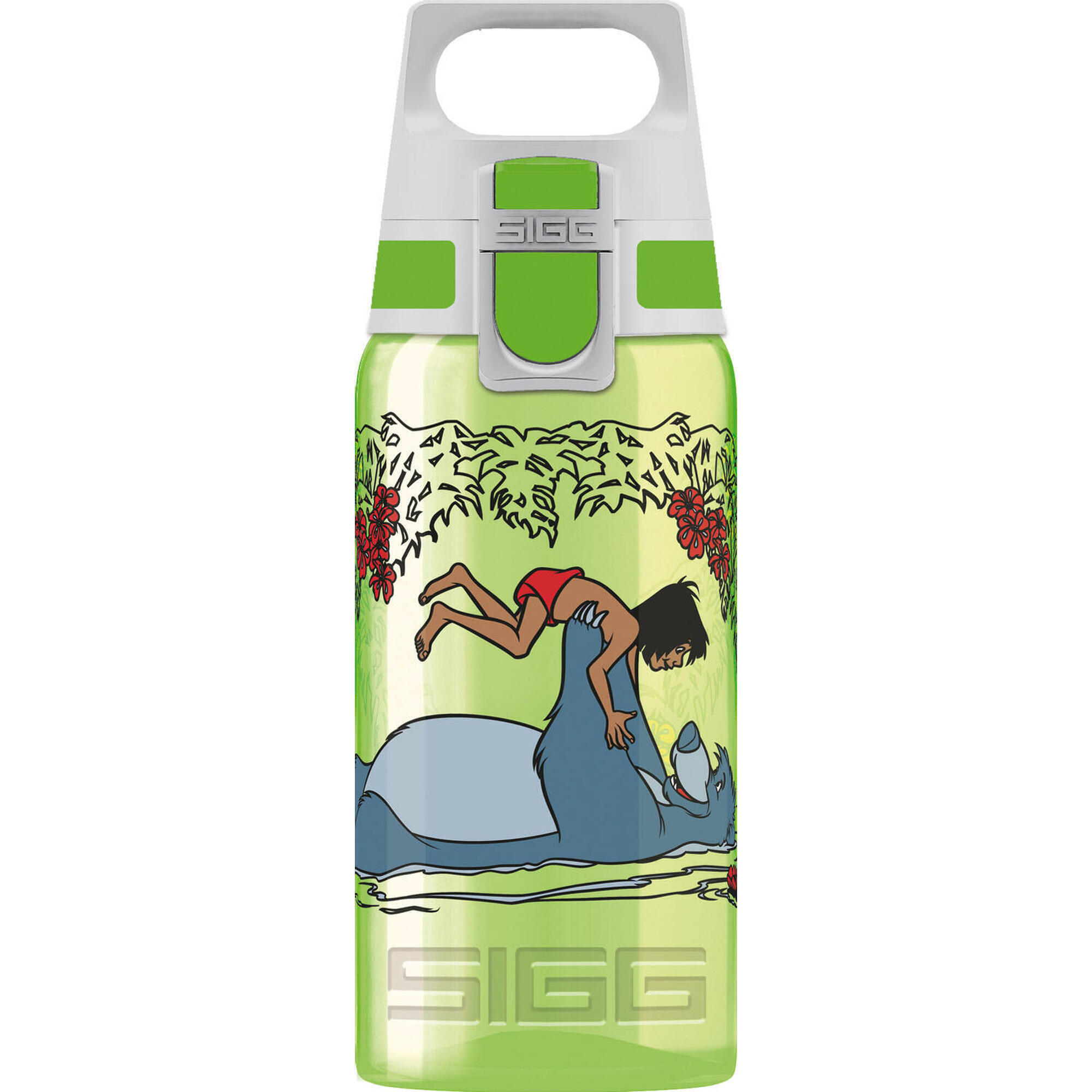 SIGG picture