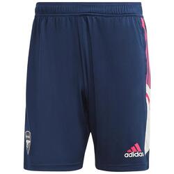Trainingsshorts FC Arsenal Herren ADIDAS