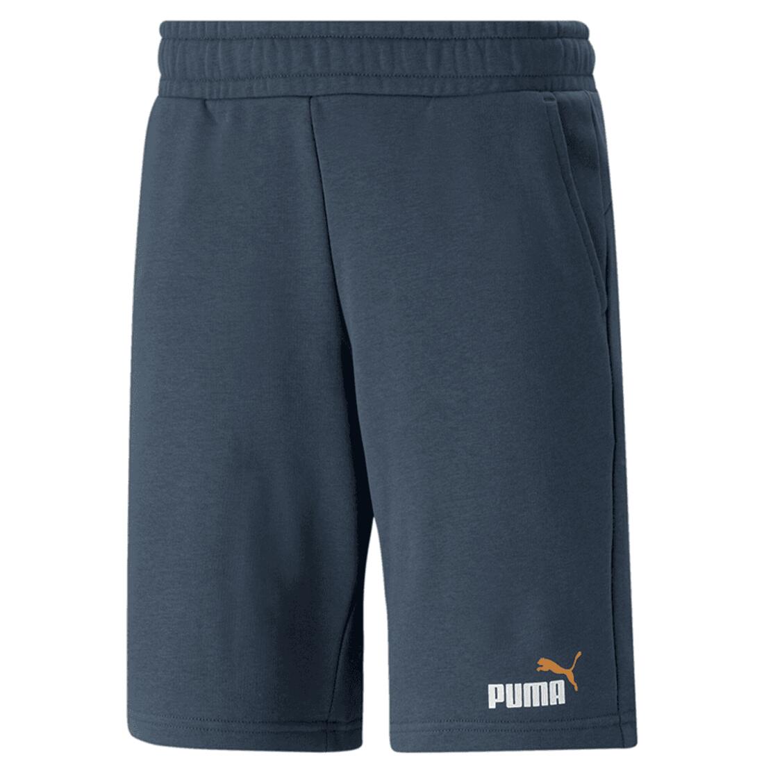 PUMA picture