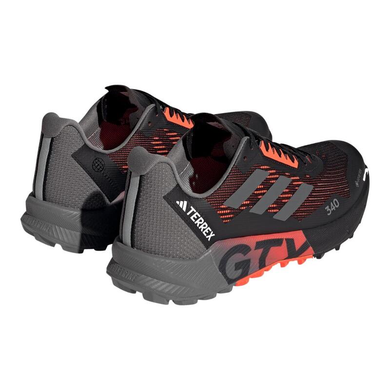 Schoenen van trail adidas Terrex Agravic Flow 2 Gtx