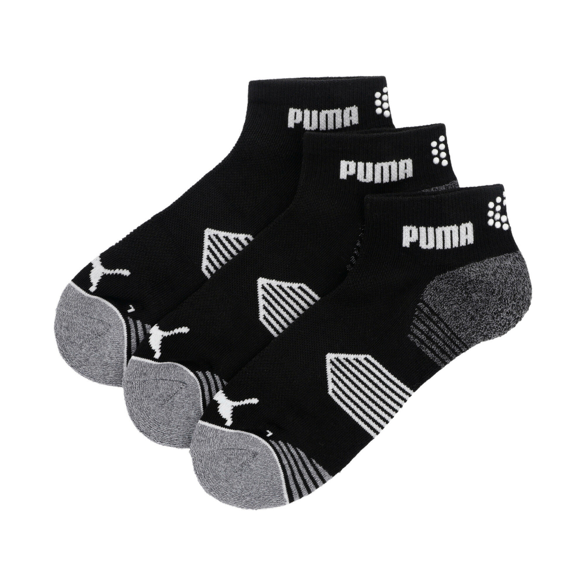 PUMA picture