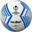 Molten UEFA 歐足總歐洲聯賽認證手縫5號足球 - 藍色, 白色