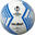 Molten UEFA approved Hand-Stitched Size 5 Soccer Ball - Blue, white