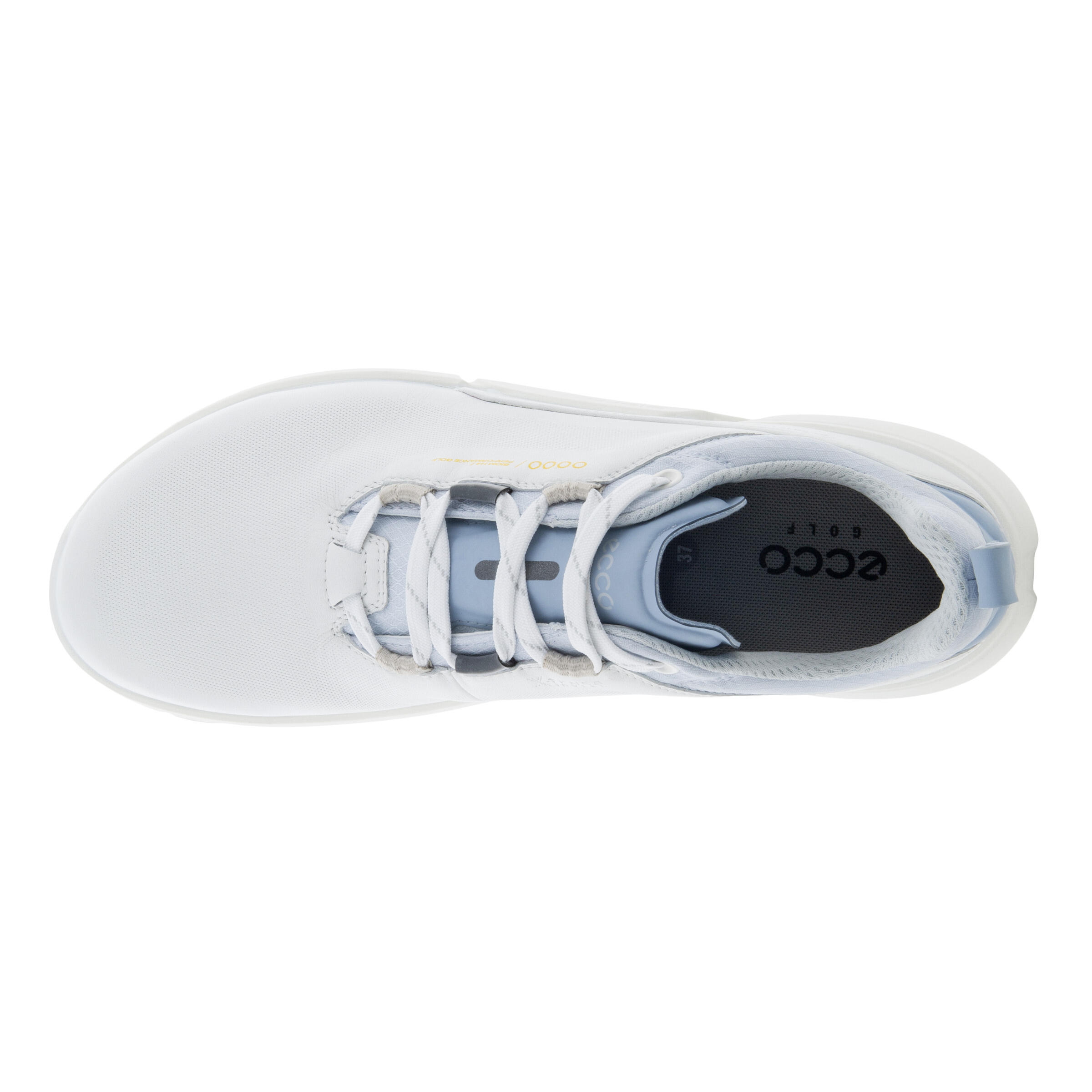 Ecco spikes top