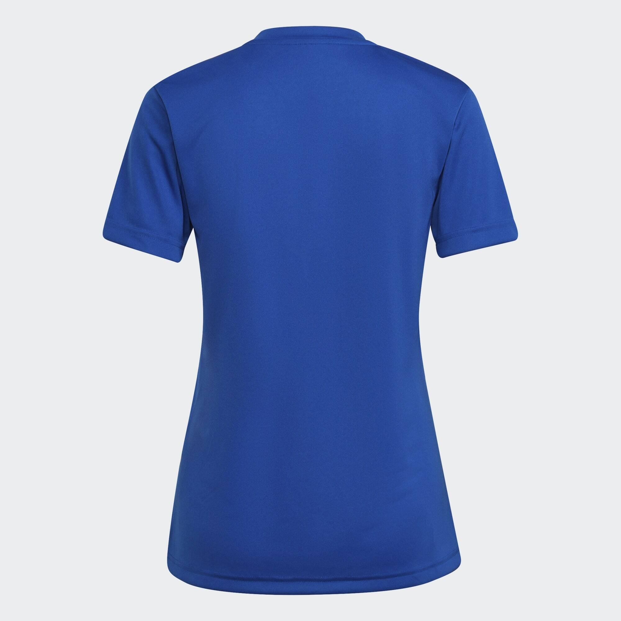 Camisola Entrada 22 6/6