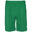 Trainingsshorts teamFINAL Herren PUMA