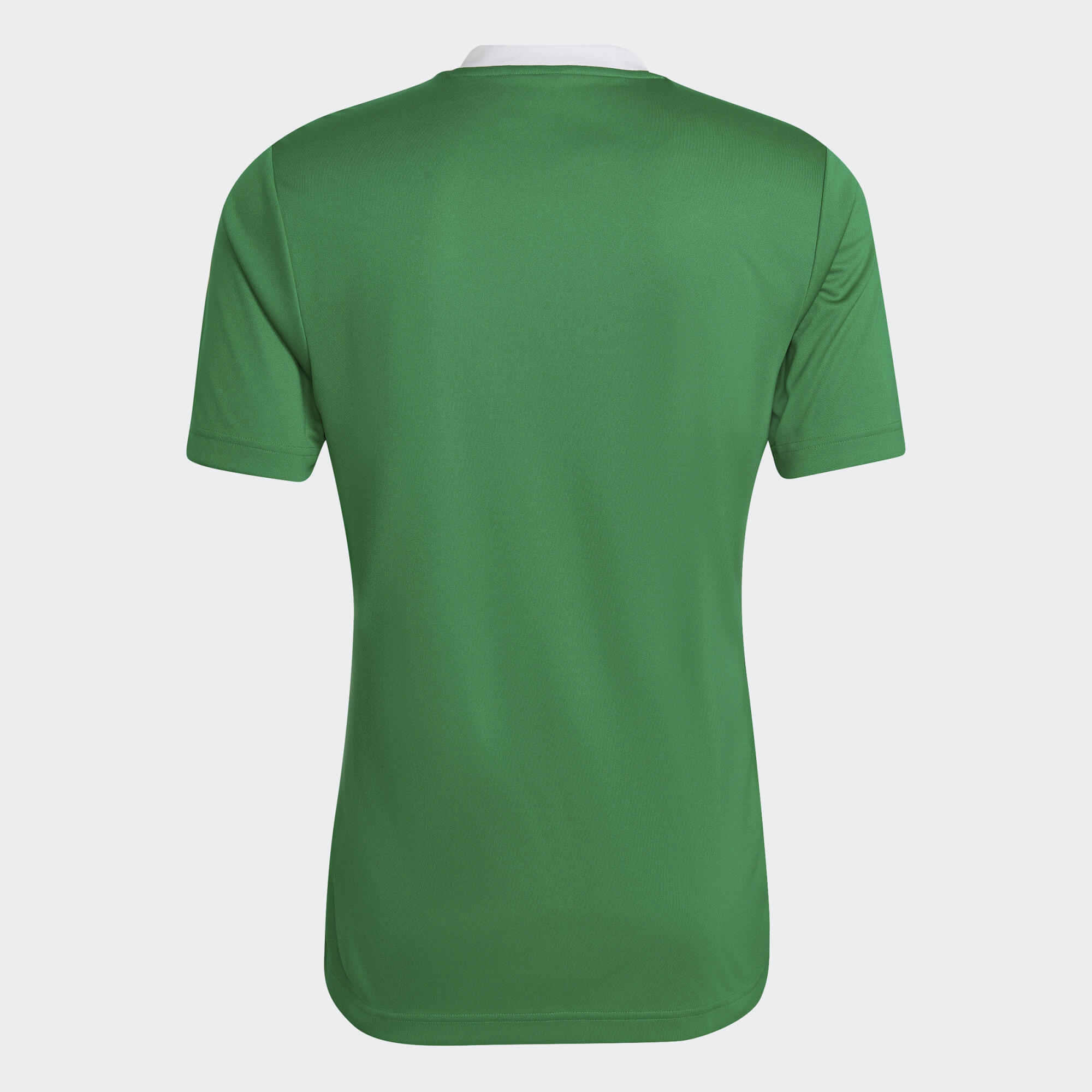 Maillot Entrada 22 6/6