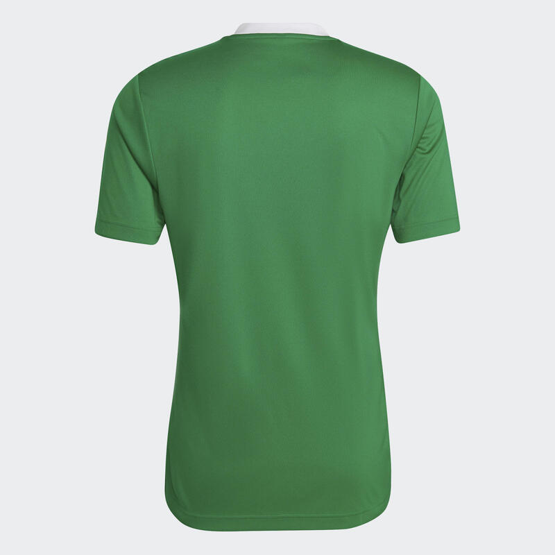 Tricou Fitness ADIDAS Entrada Roz Bărbați