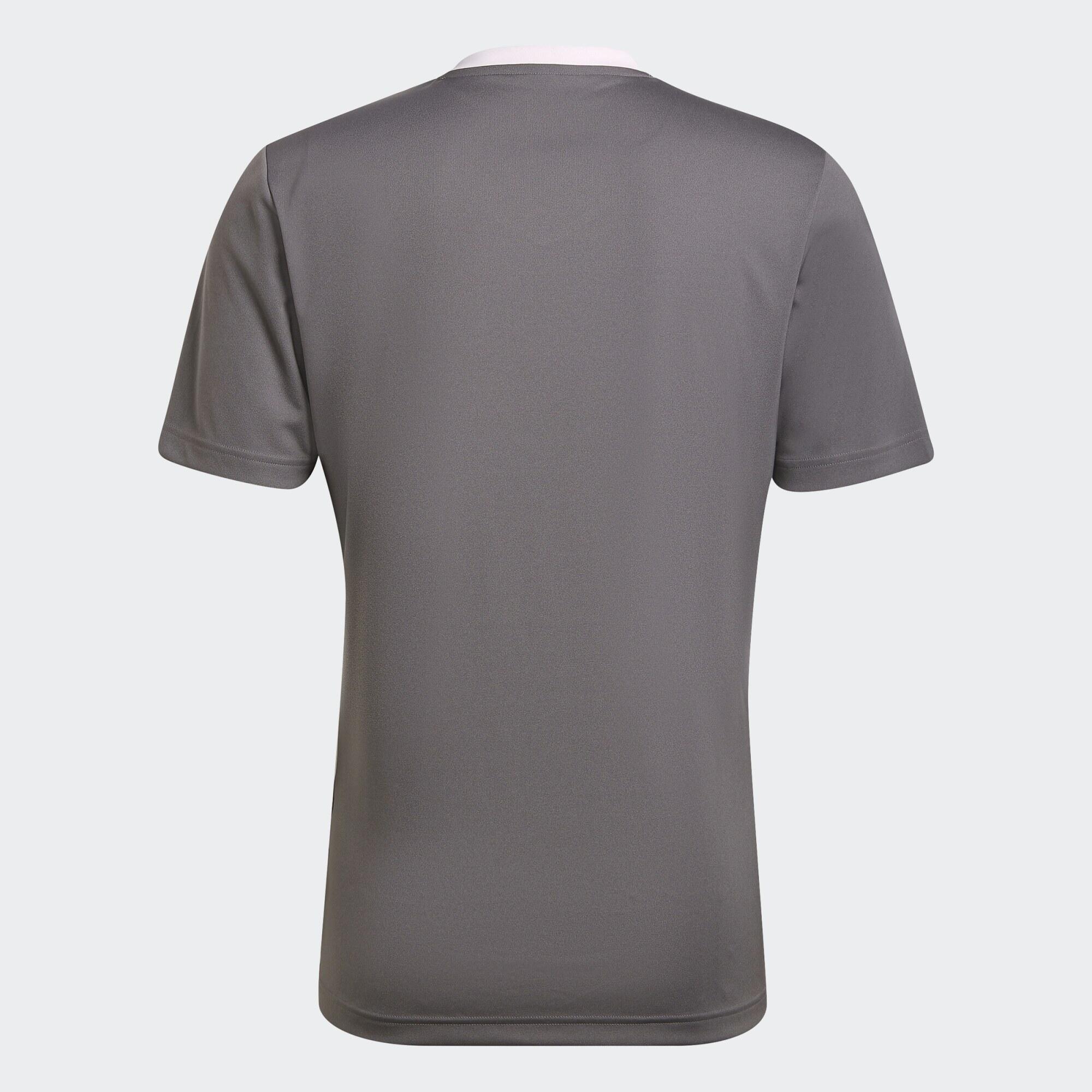 Camiseta Entrada 22 6/6
