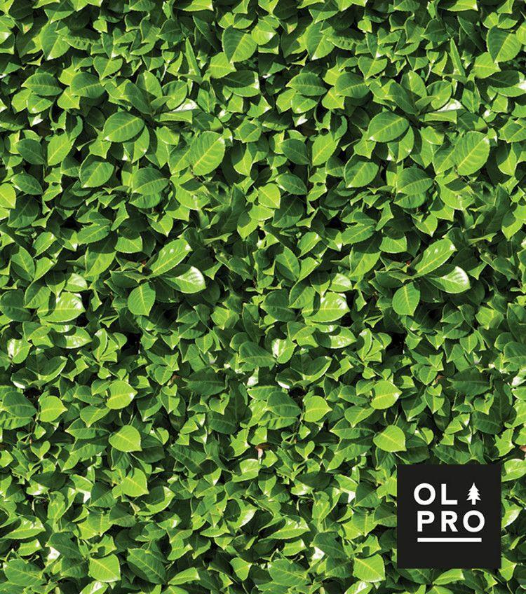 OLPRO Laurel Hedge 4 Pole Compact Windbreak 2/3