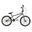 Bicicleta Copii Bmx Jumper 2005 - 20 Inch, Argintiu
