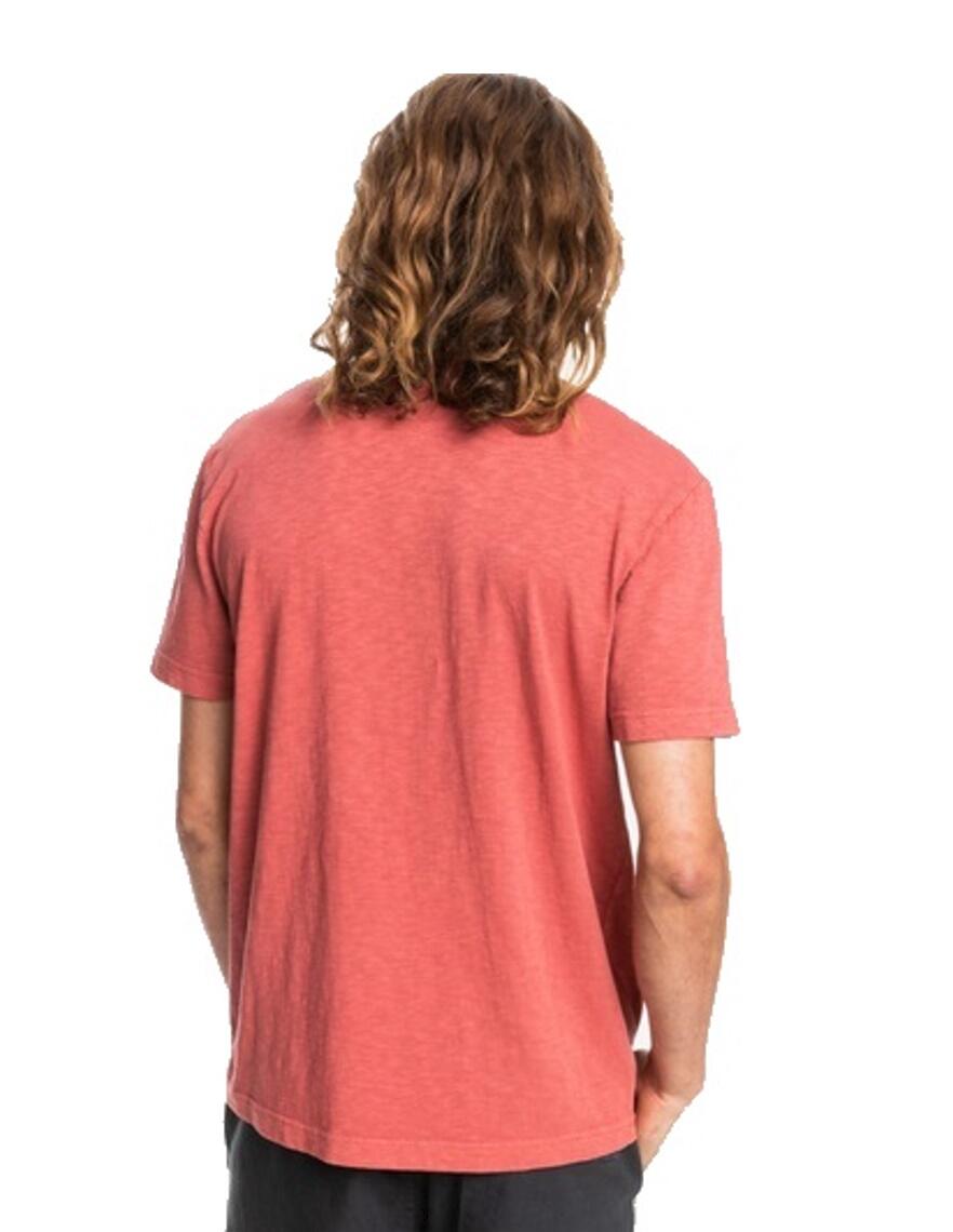 QUIKSILVER Quiksilver T-Shirt Natural Dye rot 3/3