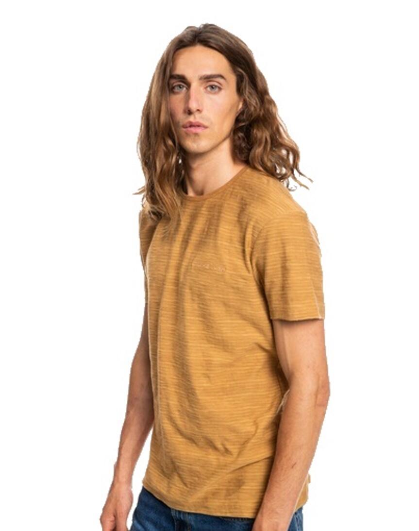 Quiksilver T-Shirt Kentin gelb 3/3